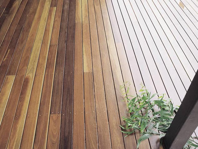 Spotted-Gum-04 Spotted Gum 04