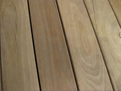 Tallowwood 01