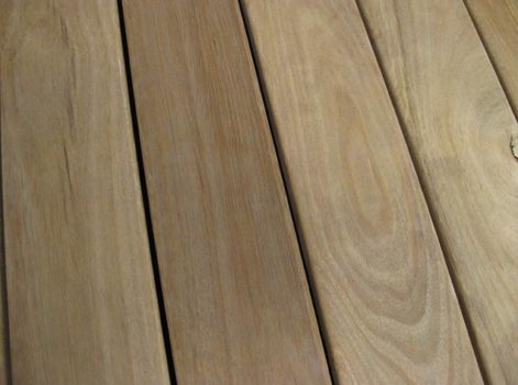 Tallowwood 01