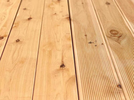 Cypress Pine 01