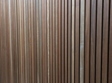 Spotted Gum