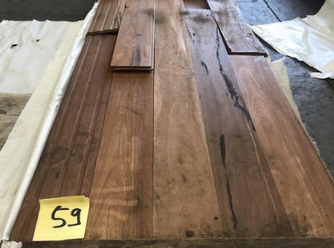 Spotted Gum59 1