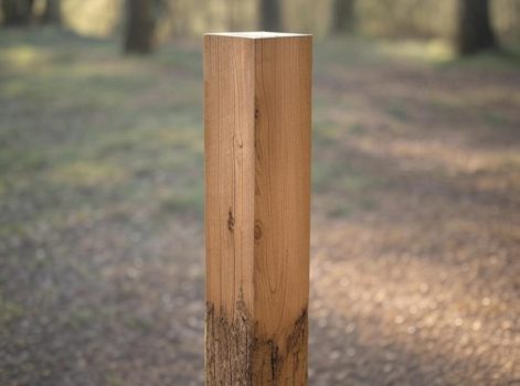 Pf14mm